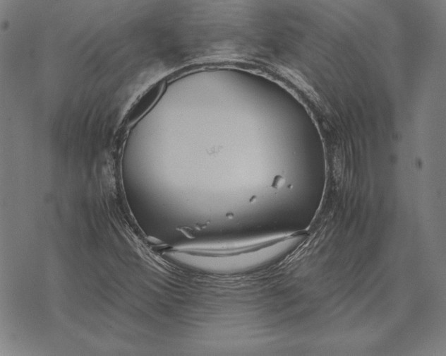 X0000071831356200607211751