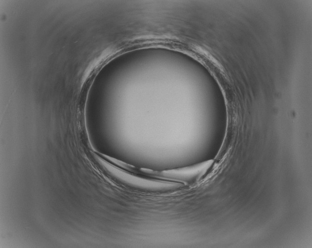 X0000071831357200607211751