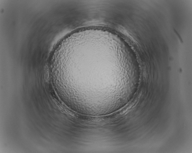 X0000071831358200607211751