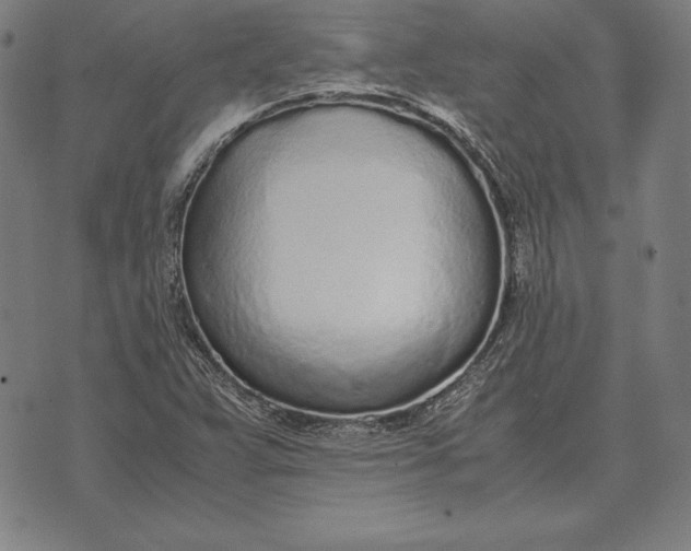 X0000071831359200607211751