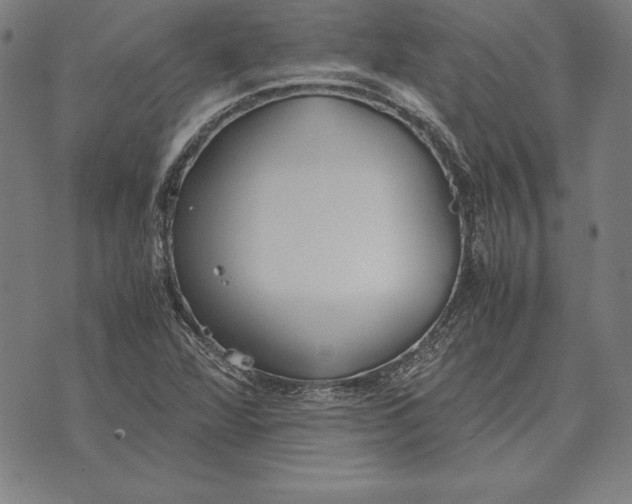 X0000071831360200607211751