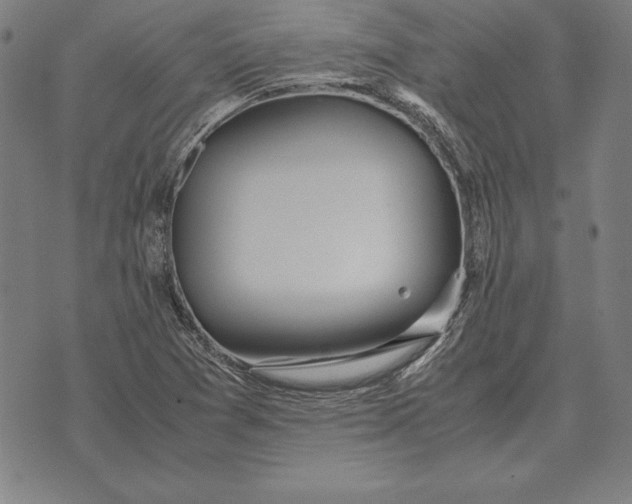 X0000071831361200607211751