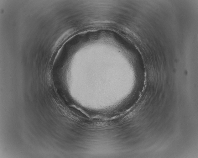 X0000071831362200607211751