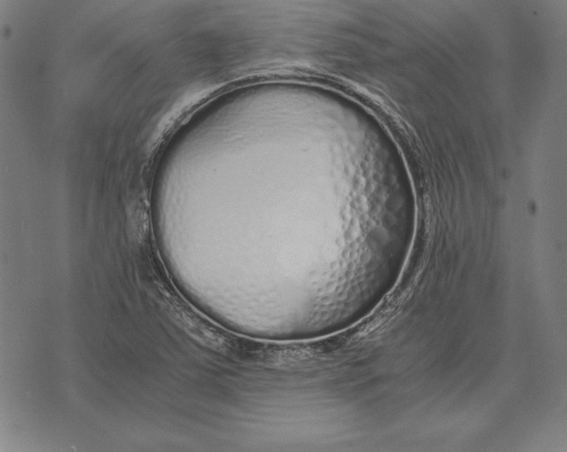 X0000071831363200607211751