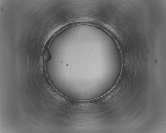 X0000071831364200607211751