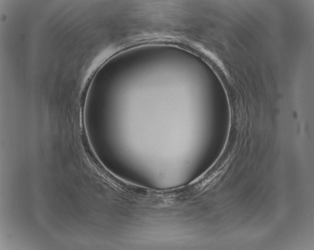 X0000071831365200607211751