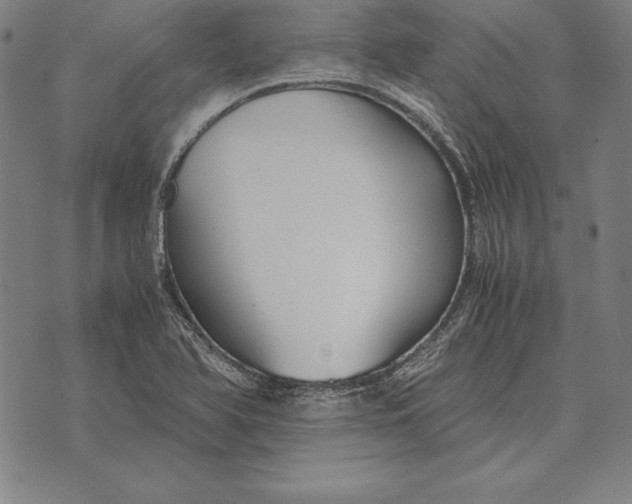 X0000071831366200607211751