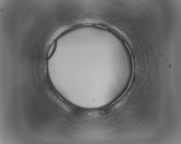 X0000071831367200607211751