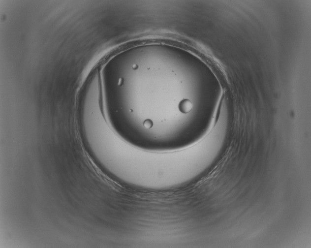 X0000071831368200607211751