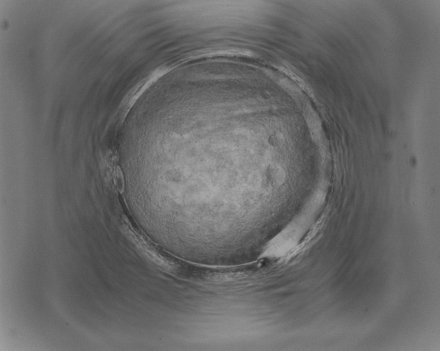 X0000071831369200607211751