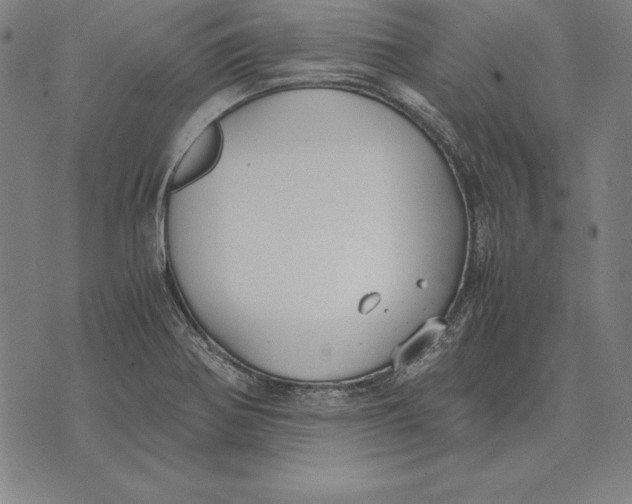 X0000071831370200607211751