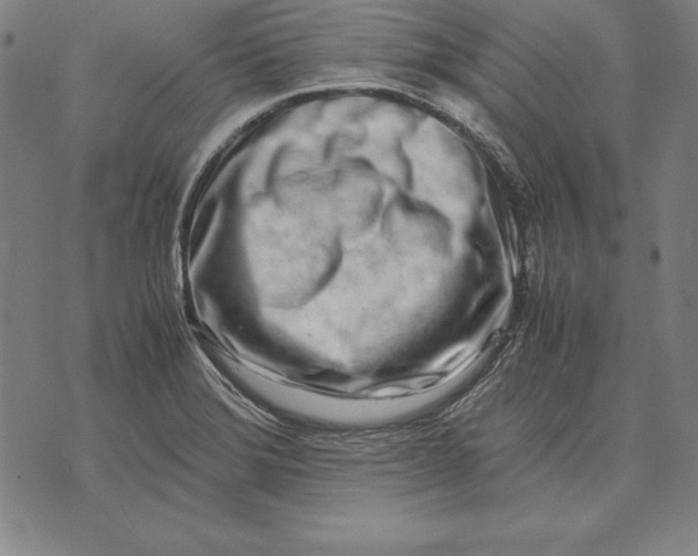 X0000071831372200607211751