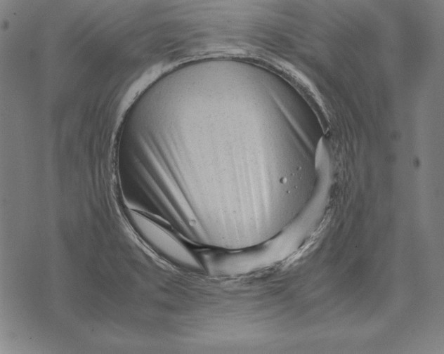 X0000071831373200607211751