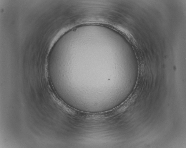 X0000071831374200607211751