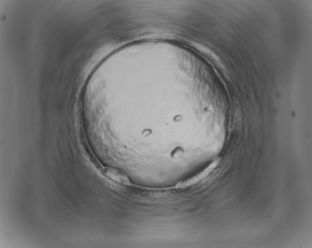 X0000071831375200607211751