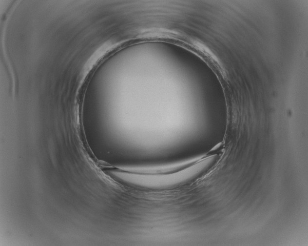 X0000071831376200607211751