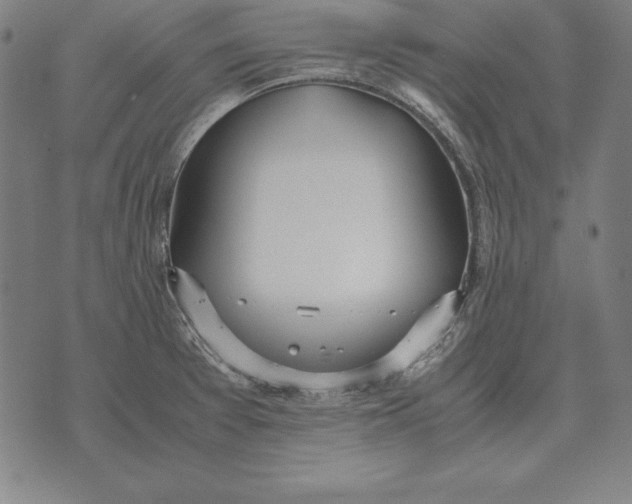 X0000071831377200607211751