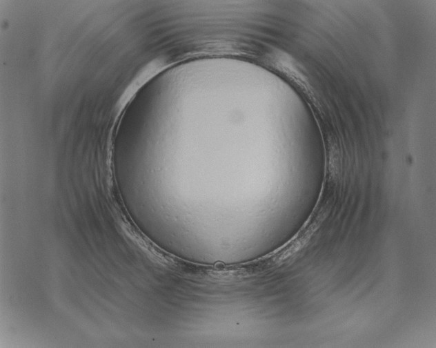 X0000071831378200607211751