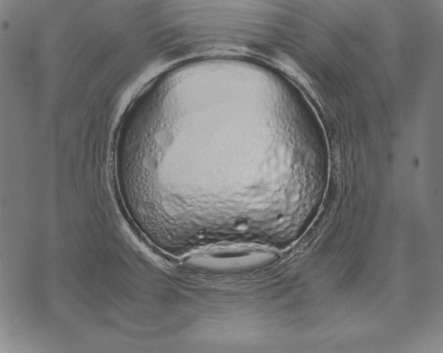 X0000071831379200607211751