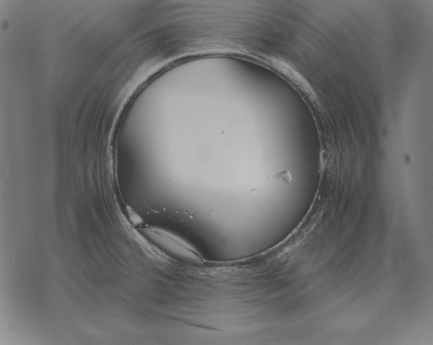 X0000071831380200607211751