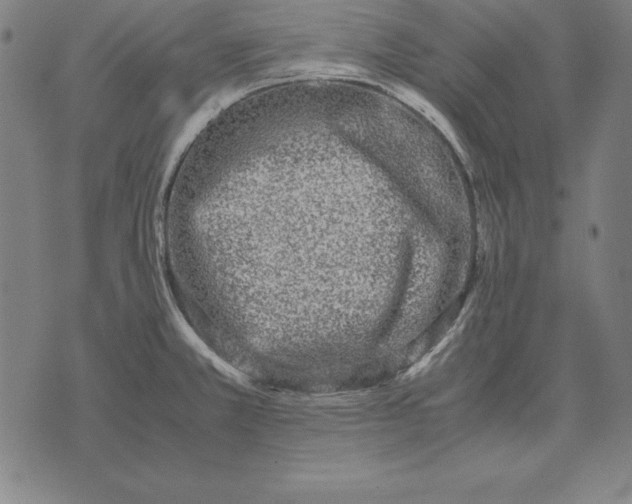 X0000071831381200607211751