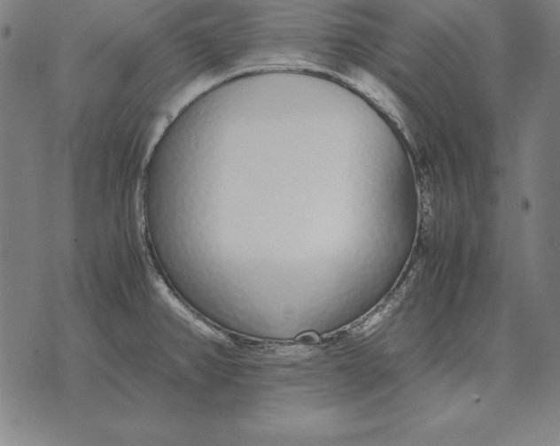 X0000071831382200607211751