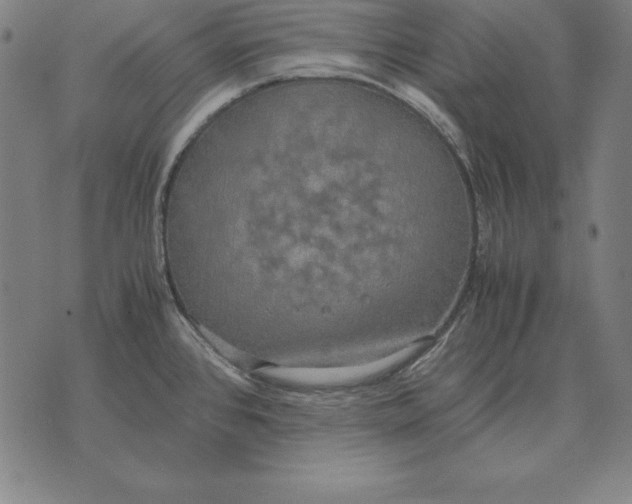 X0000071831384200607211751