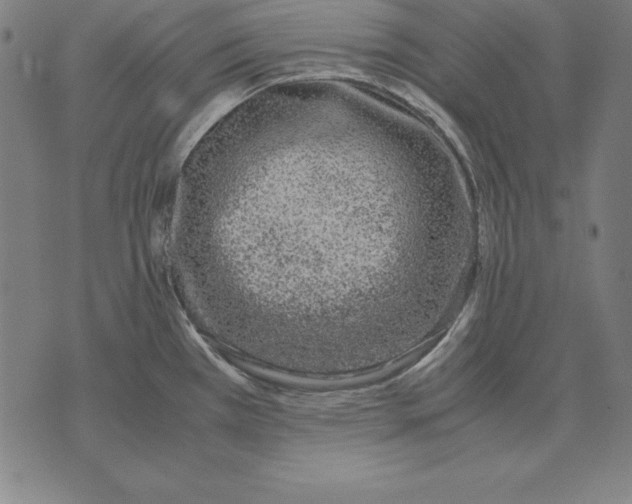 X0000071831385200607211751