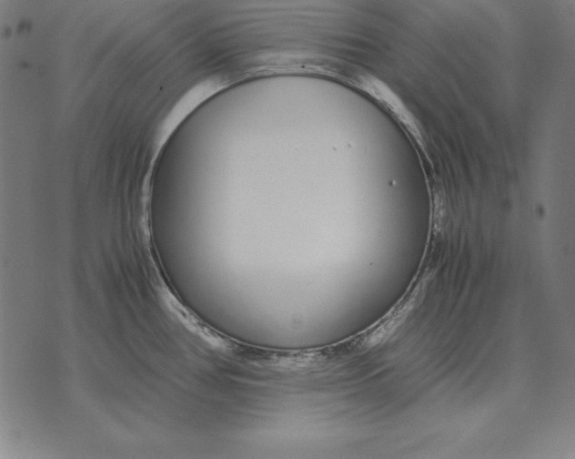 X0000071831386200607211751