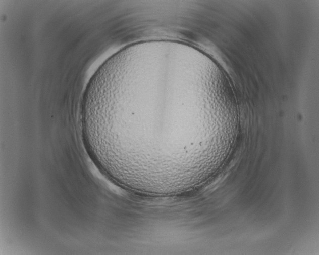 X0000071831387200607211751