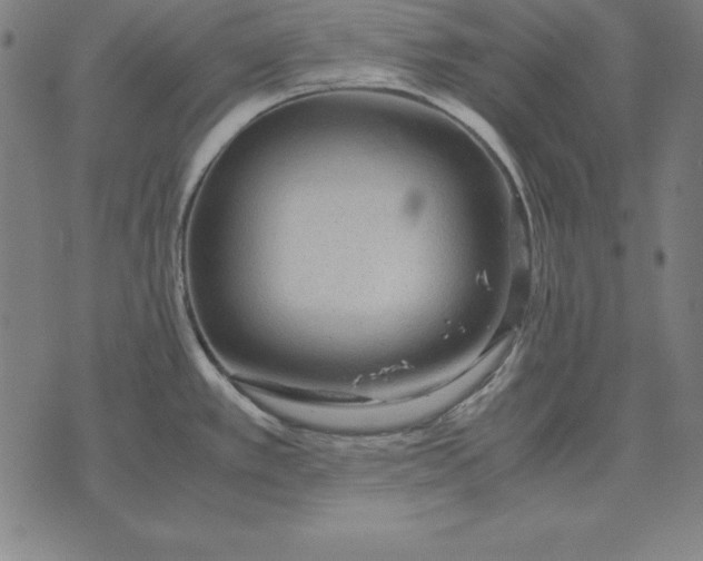 X0000071831389200607211751