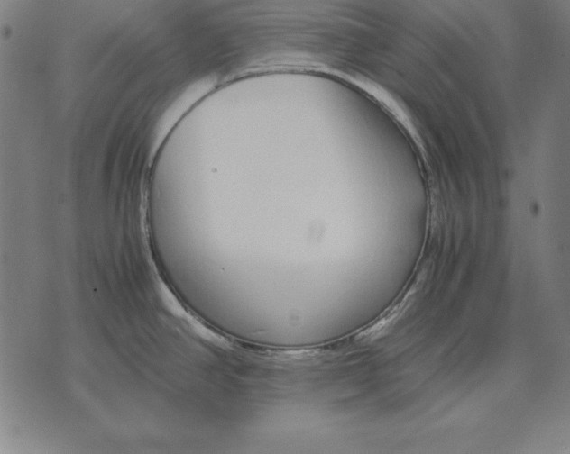 X0000071831390200607211751