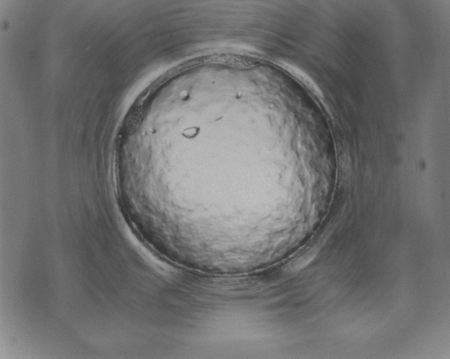 X0000071831391200607211751