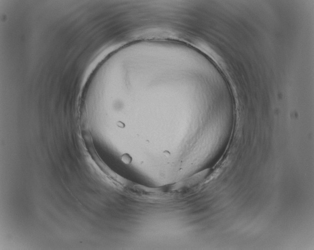 X0000071831392200607211751