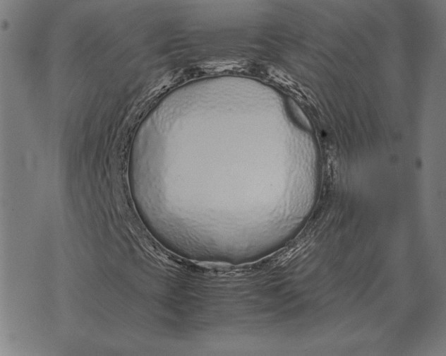 X0000071831393200607211750