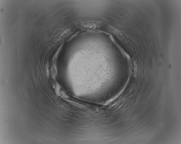 X0000071831394200607211750