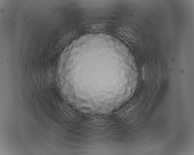 X0000071831395200607211750