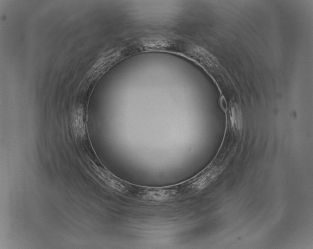 X0000071831396200607211750