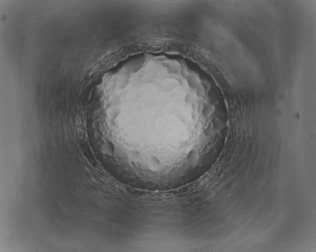 X0000071831397200607211750