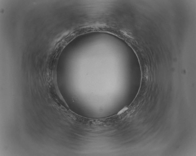 X0000071831398200607211750