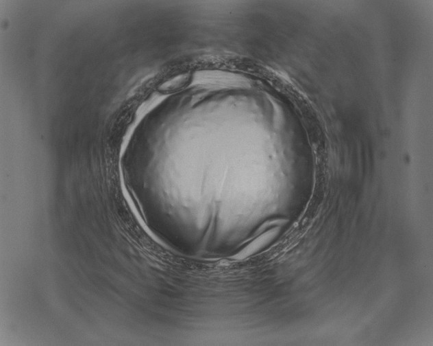 X0000071831399200607211750