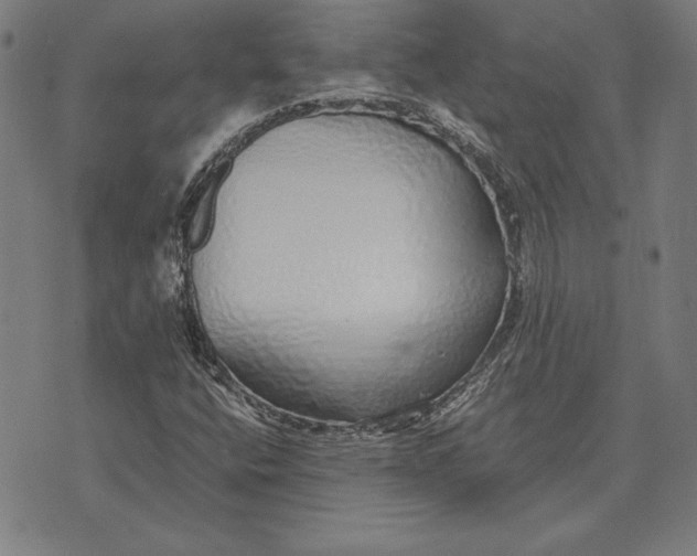 X0000071831400200607211750