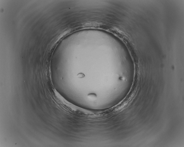 X0000071831401200607211750