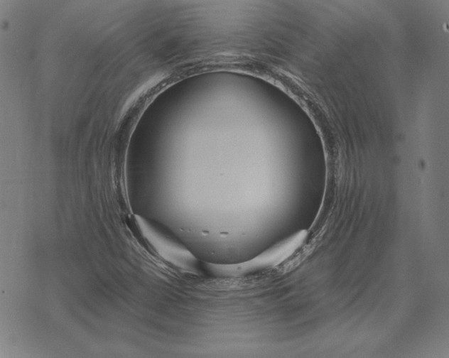 X0000071831402200607211750