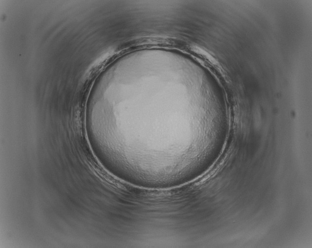 X0000071831403200607211750