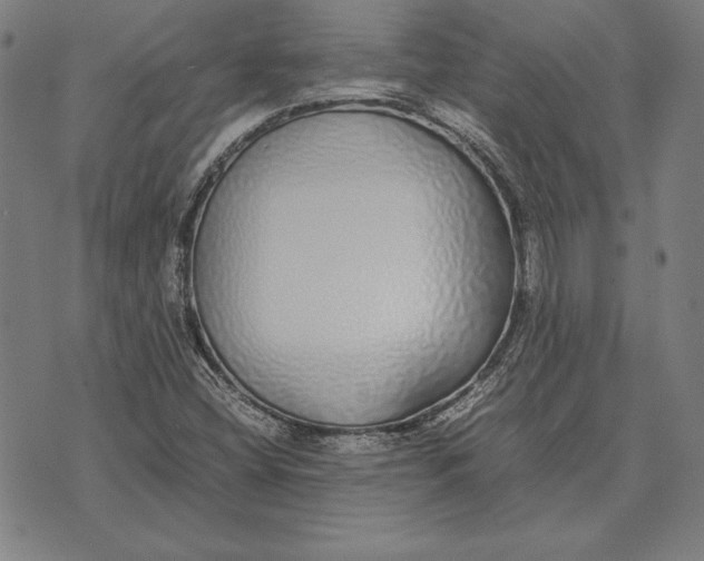 X0000071831404200607211750