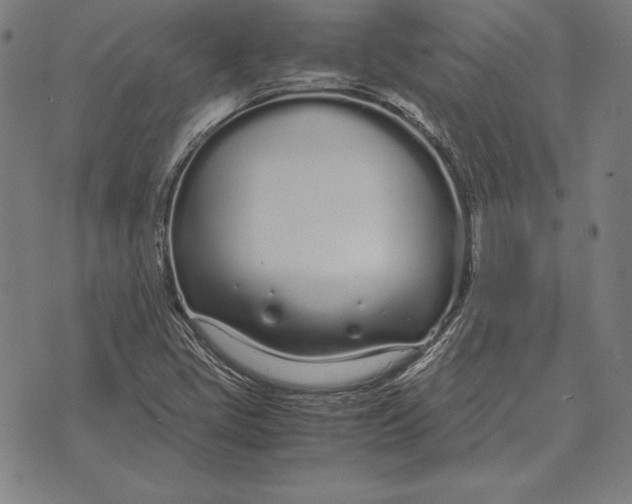 X0000071831405200607211750