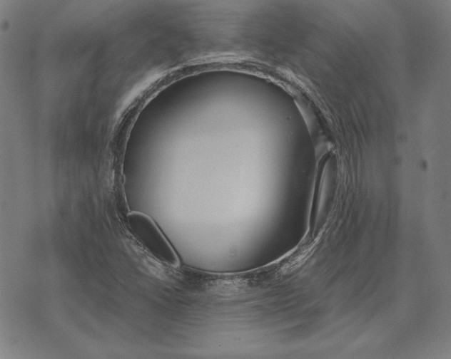 X0000071831406200607211750