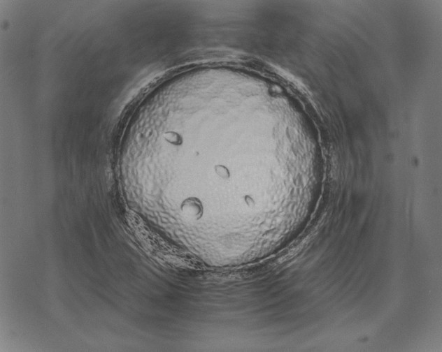 X0000071831407200607211750