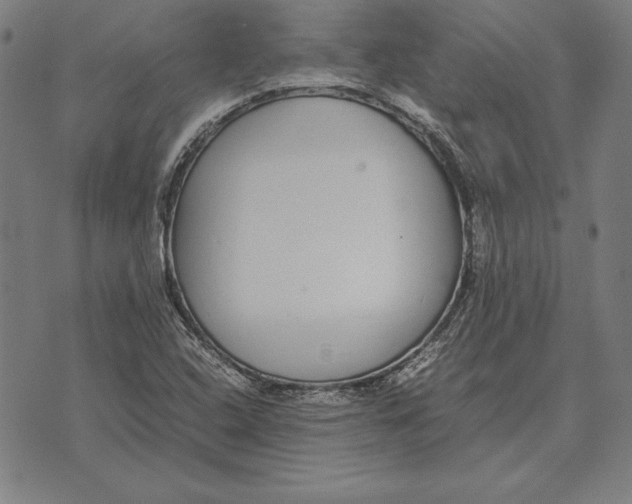 X0000071831408200607211750